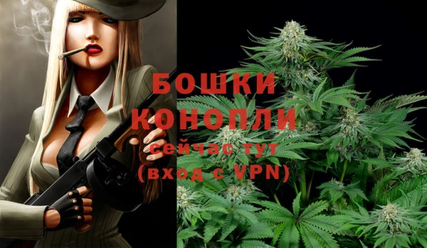 спайс Бородино