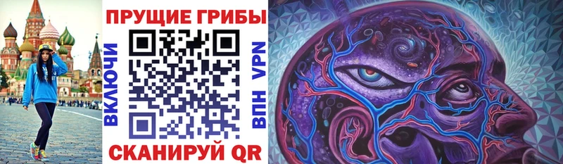 Псилоцибиновые грибы прущие грибы  Купить где  Медынь 